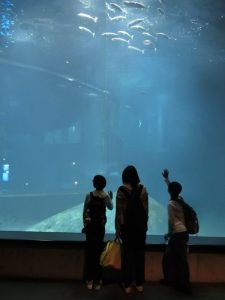 電車に乗ってお出かけをしよう（葛西臨海水族園）③