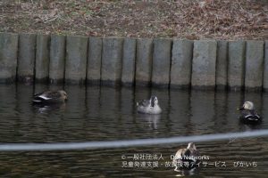 科学技術館へ行こう！②