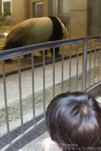 上野動物園へ行こう！①