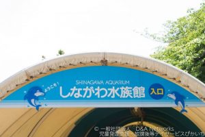 しながわ水族館へ行こう！①