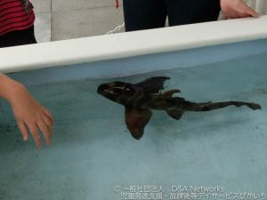 葛西臨海水族園へ行こう！③