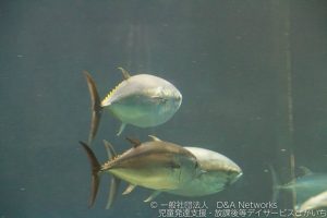 葛西臨海水族園へ行こう！②