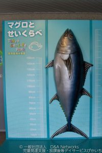 葛西臨海水族園へ行こう！①