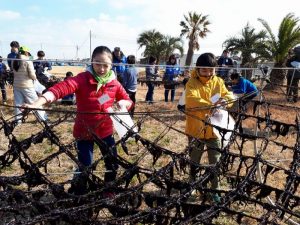 第4回ひがた探検隊（海苔すき、海苔つみ体験）②