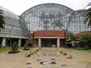 夢の島熱帯植物館へ行こう！①