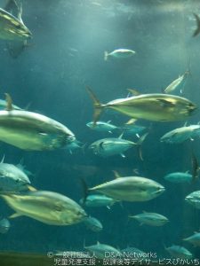 葛西臨海水族園へ行こう！