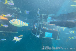 230603葛西臨海水族園へ行こう！