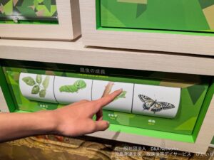 250614港区立みなと科学館・気象科学250614