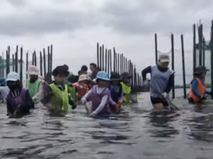 250713第２回しぜん探検隊（すだて漁）