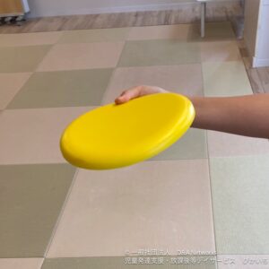 250819ドッヂビーをしよう！