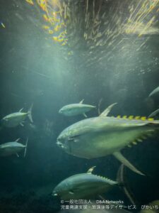 250927葛西臨海水族園へ行こう！