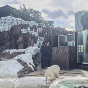 251018上野動物園へ行こう！