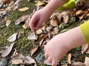 251129紅葉を見に行こう！