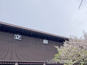 260404お花見ランチをしよう！
